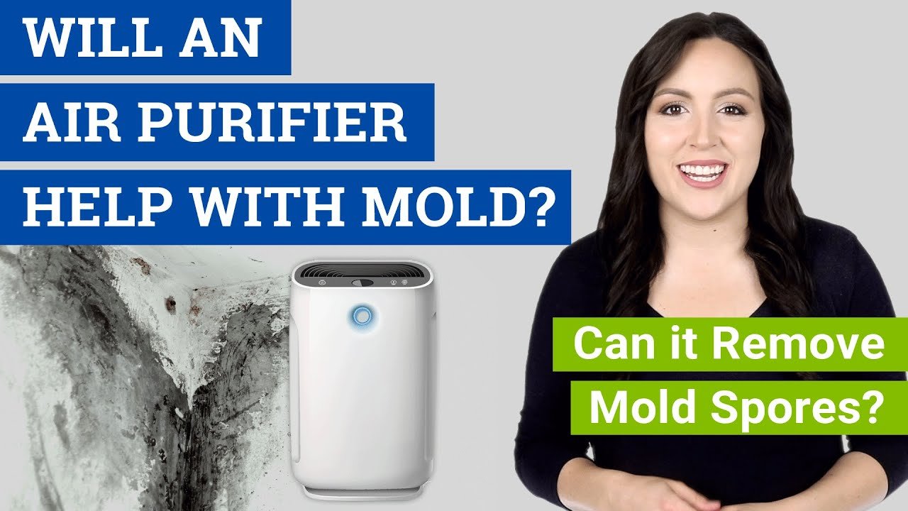 Does Air Purifier Clean Mold Spores?