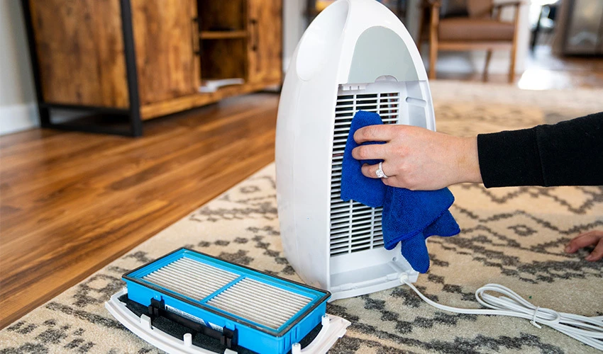 What Do Air Purifiers Clean?