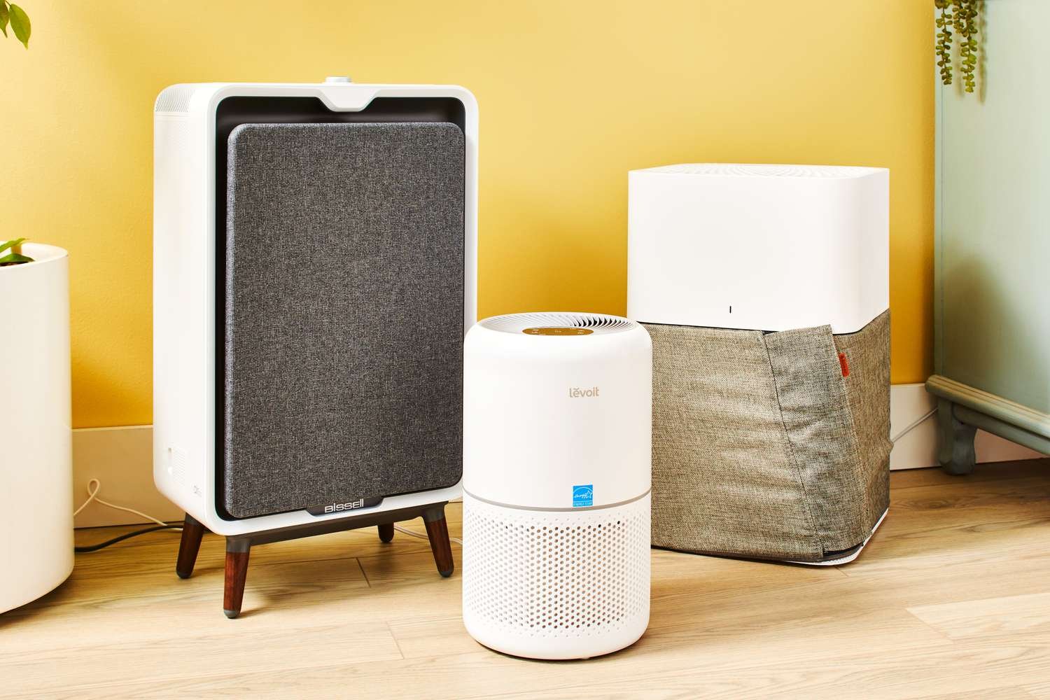 What Type of Air Purifier is Best for Odor?