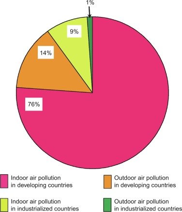 Why is Indoor Air Pollution a Problem in Developed Countries?