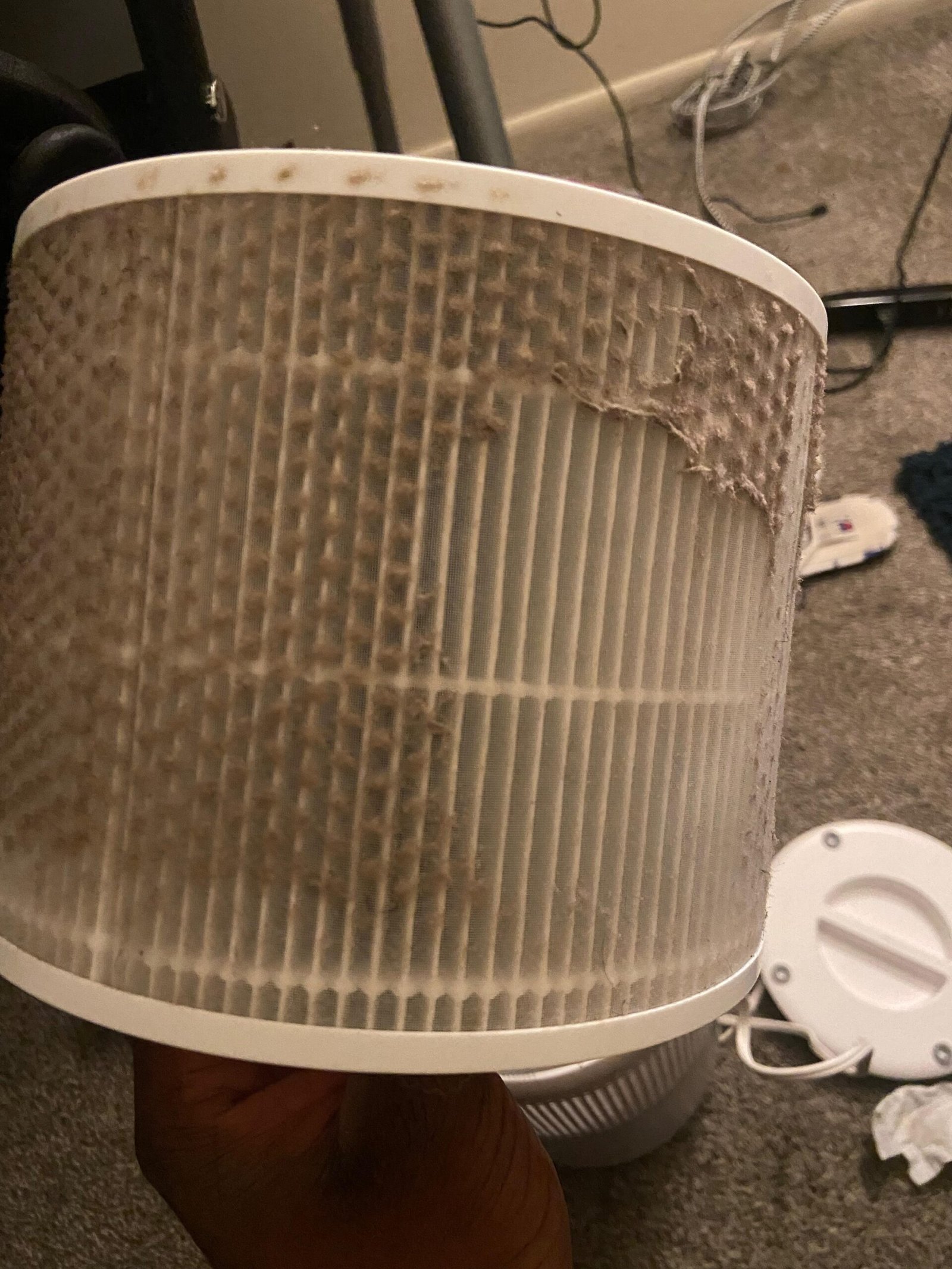 Air Purifier Filter Clogged