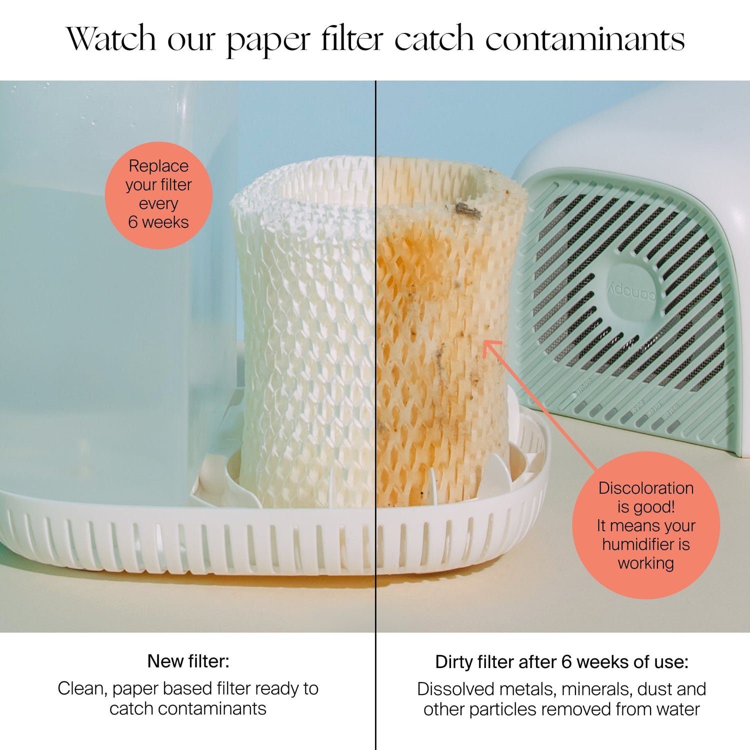 Air Purifier Filter Discoloration