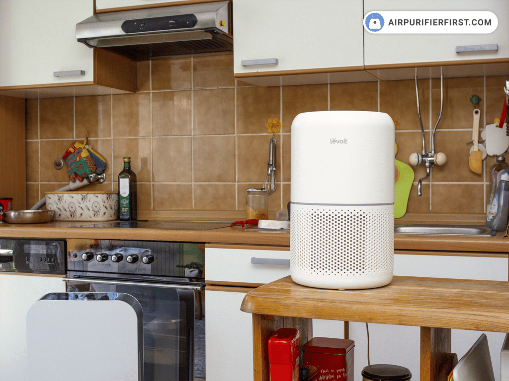 Air Purifier for Kitchen Odors