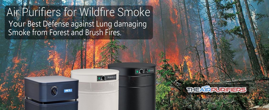 Air Purifier for Wildfire Smoke