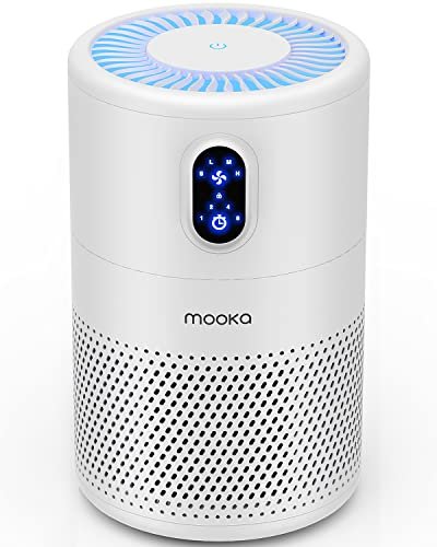 Best Affordable Air Purifier for Smoke