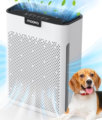 Best Air Purifier for Pet Owners