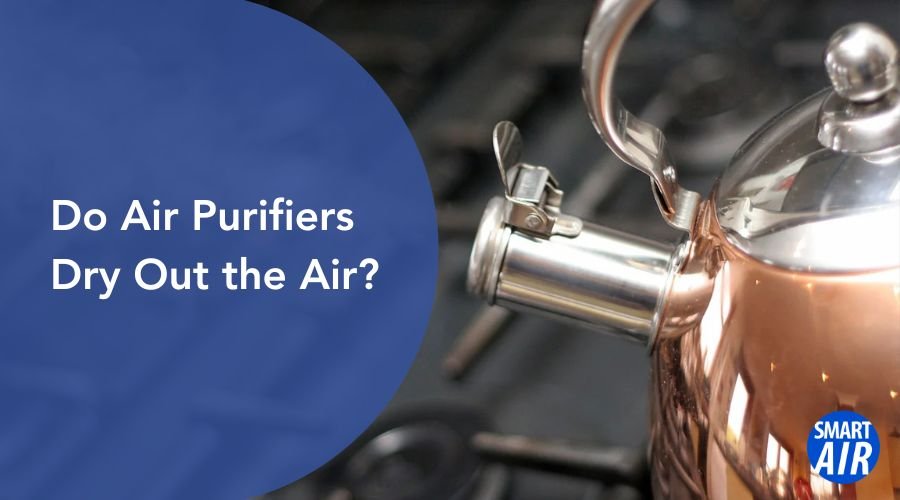 Can Air Purifiers Help With Dry Air?