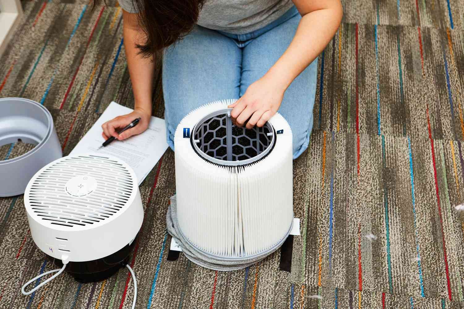 Do Air Purifiers Help With Pet Hair?