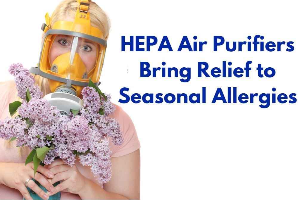 Do Air Purifiers Help With Seasonal Allergies?