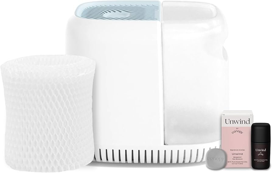 Why is My Air Purifier Causing Dry Skin?