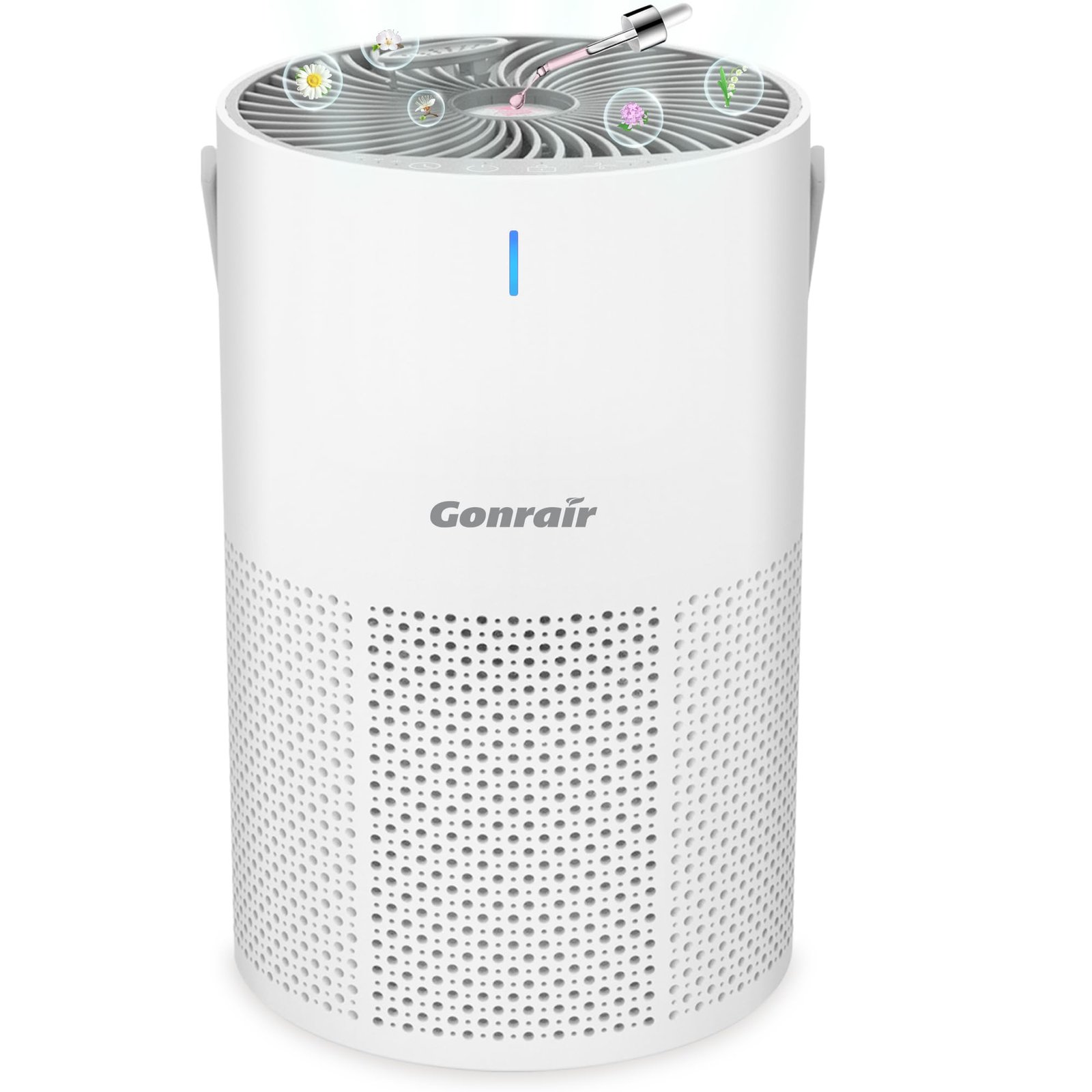 Air Purifiers for Dorm Rooms Vs Air Purifiers for Family Homes