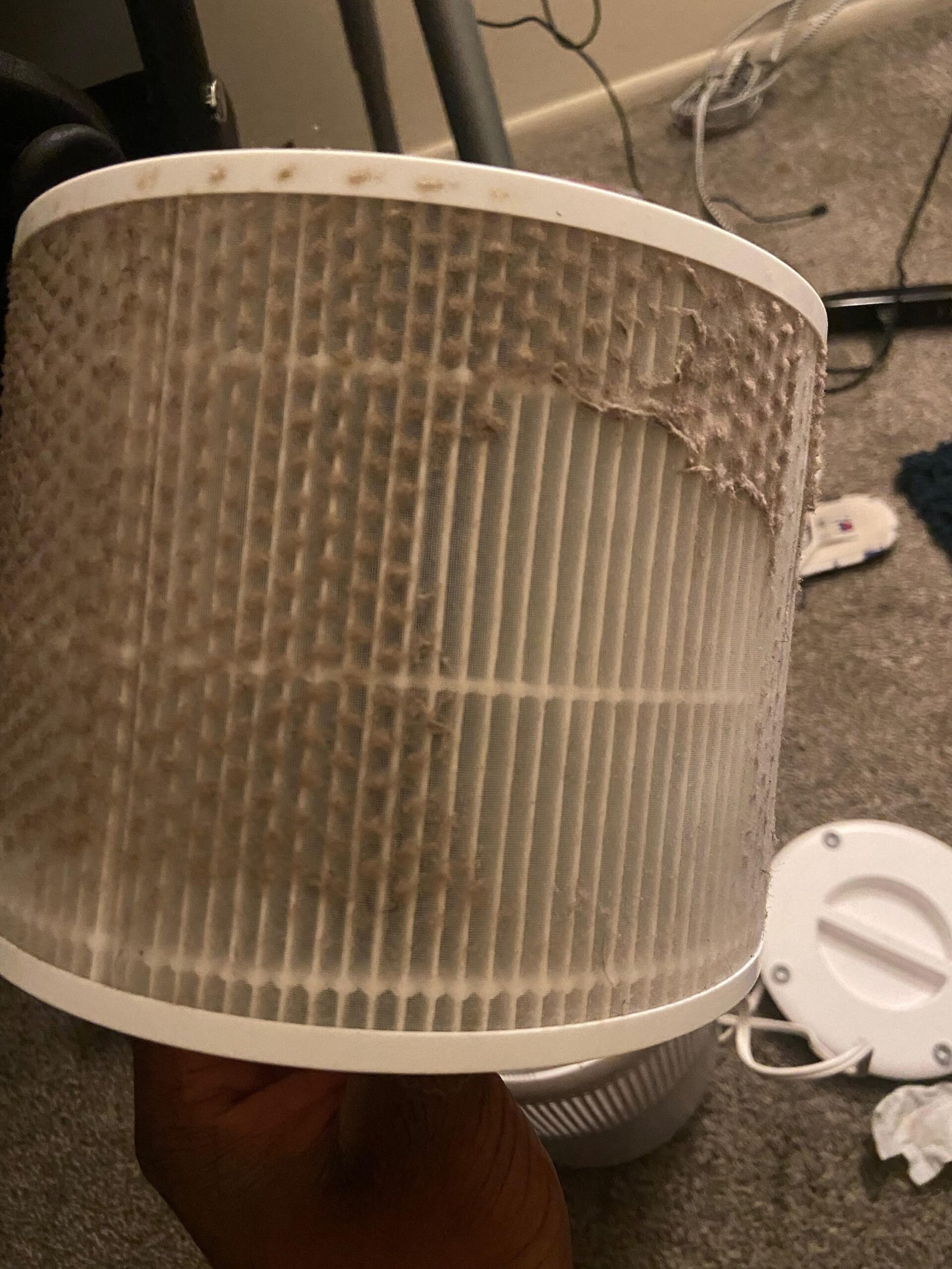 Air Purifiers With Long-Lasting Filters Vs Frequent Filter Replacements