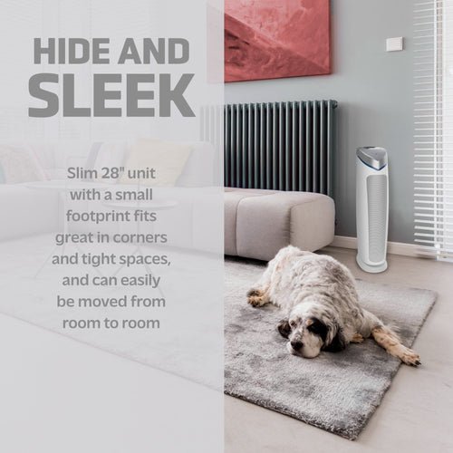 Air Purifiers With Small Footprints Vs Large Footprints