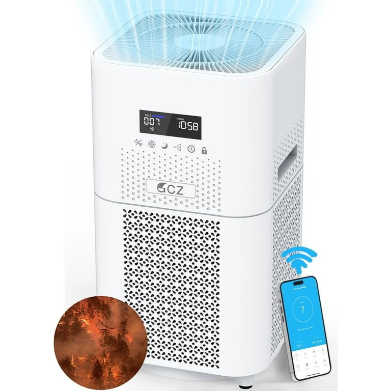 Can Air Purifiers Help With Asthma And Paper Dust?