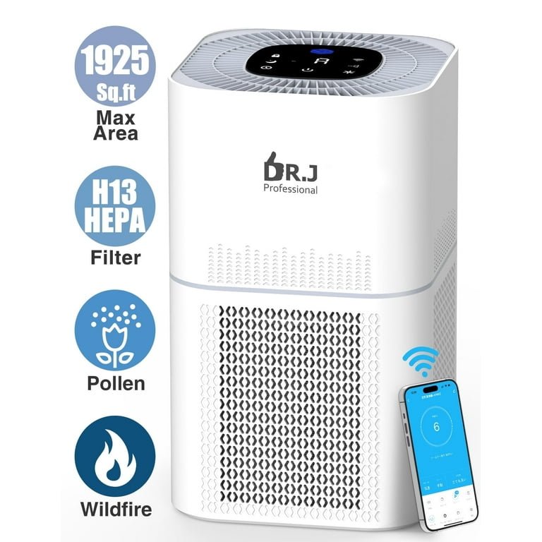 Can Air Purifiers Help With Asthma And Wildfire Smoke?
