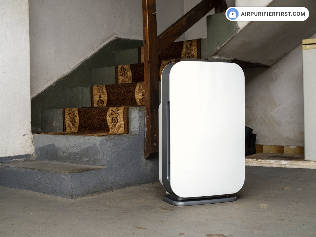 Can Air Purifiers Help With Musty Odors in Basements?