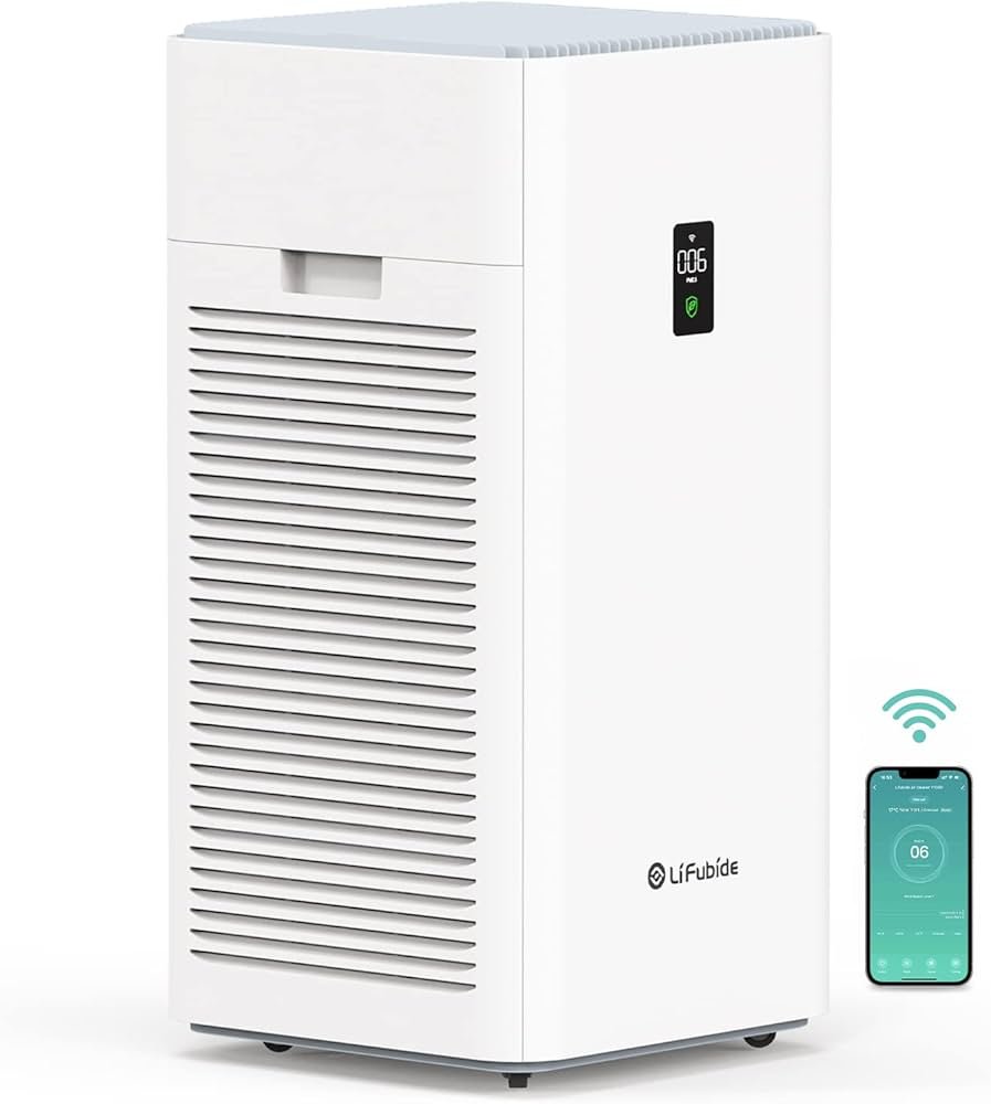 Can Air Purifiers Remove Pm2.5 Particles from Indoor Air?