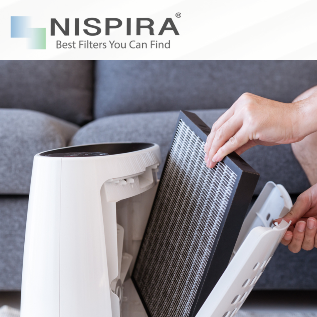 Can You Overuse an Air Purifier?