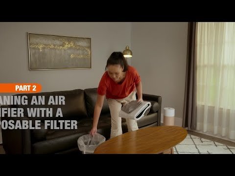 Can You Use Soap And Water to Clean an Air Purifier Filter?
