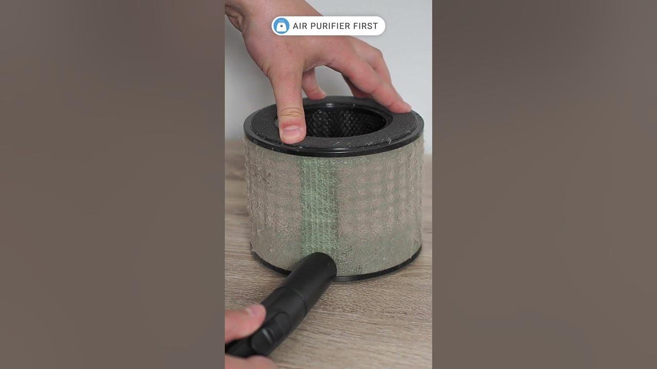 Can You Vacuum an Air Purifier Filter?