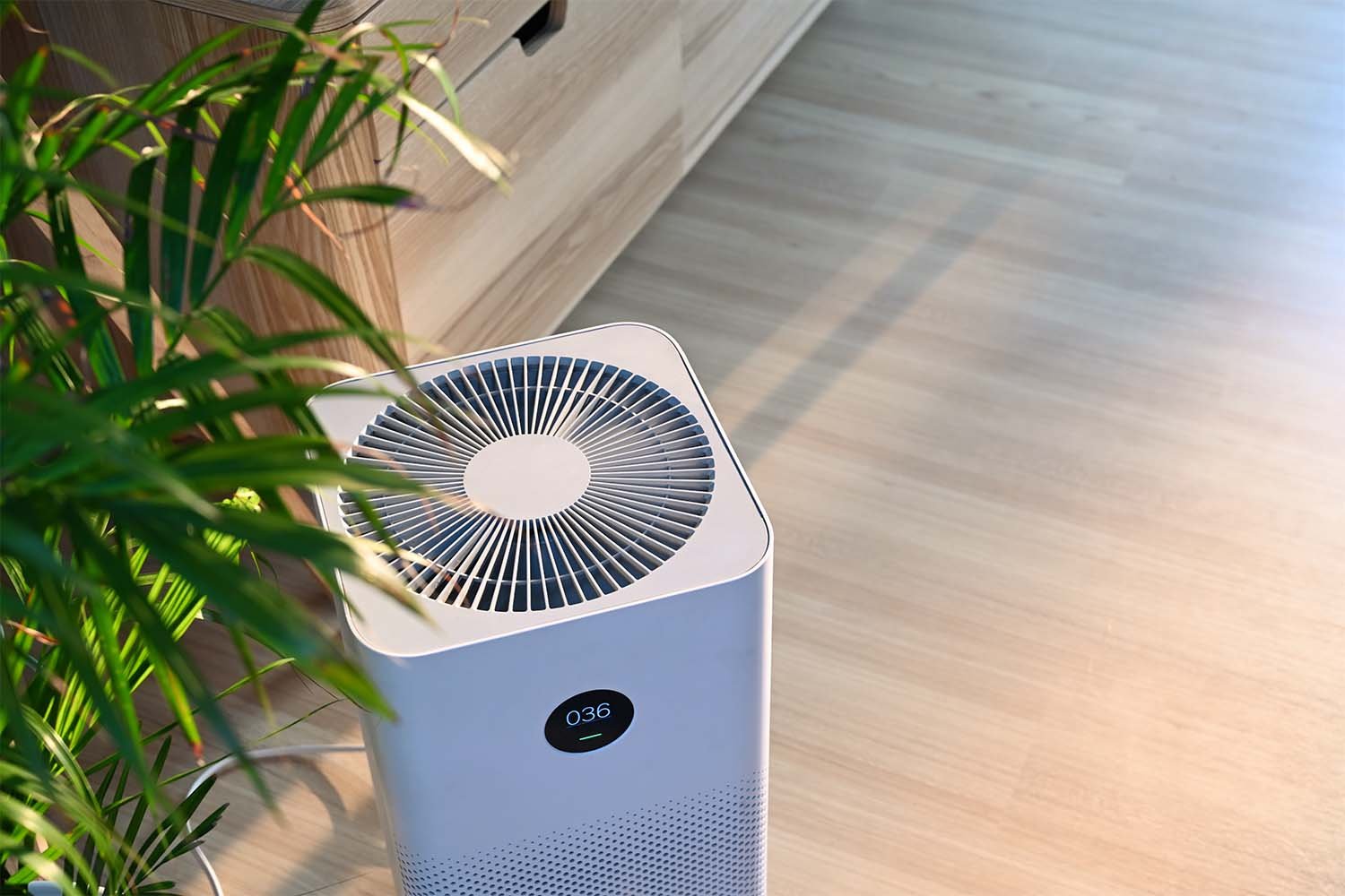How Air Purifiers Combat Dust Mite Allergies?