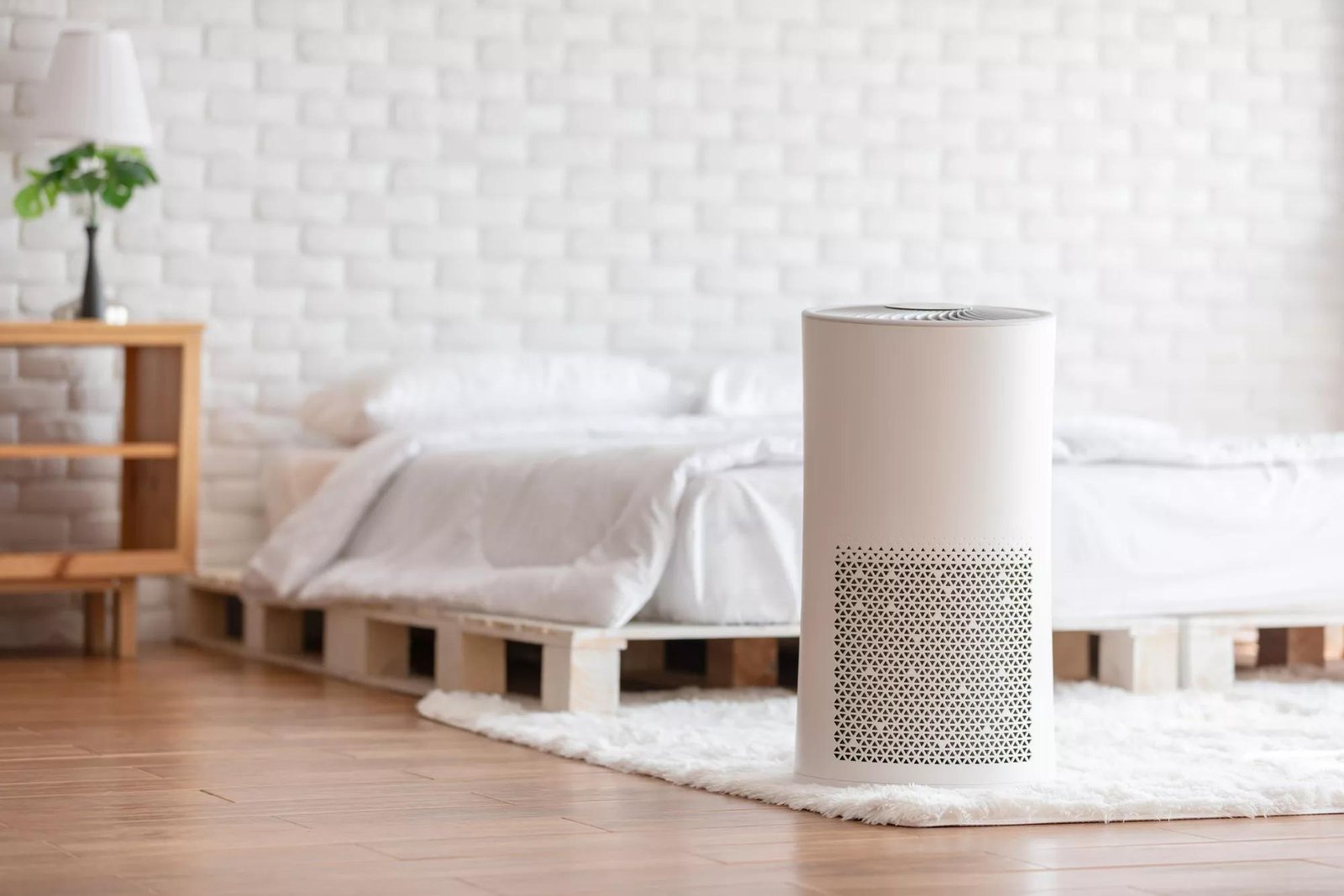 How Air Purifiers Improve Respiratory Health?