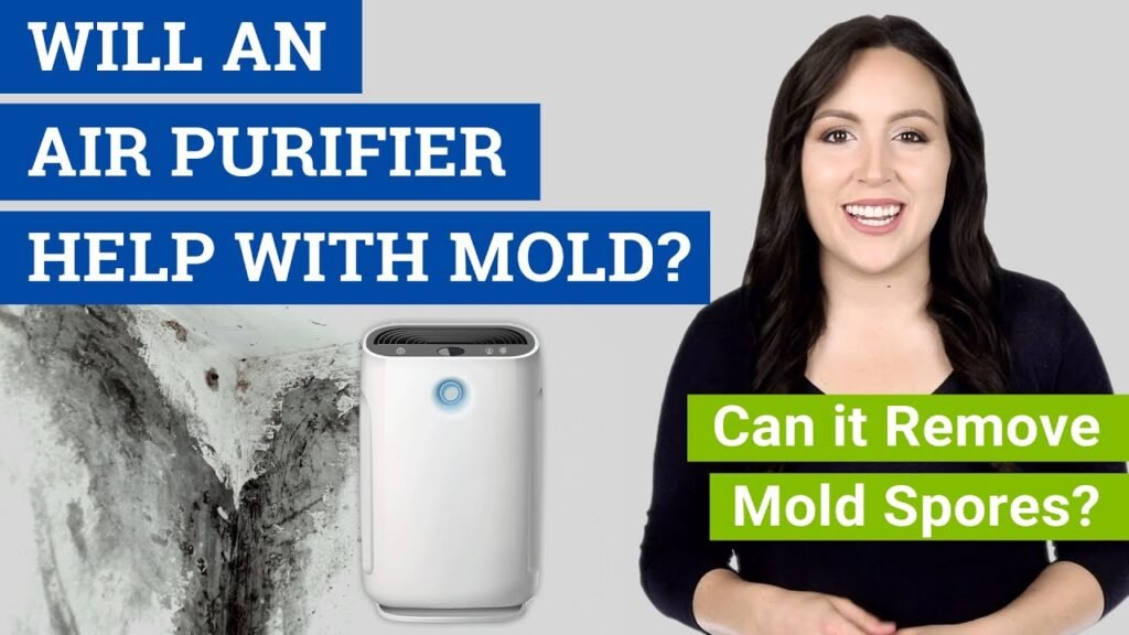 How Air Purifiers Reduce Mold Spores in Your Home? Ultimate Guide - Air ... - Mold Remediation And Air Purifier Installation