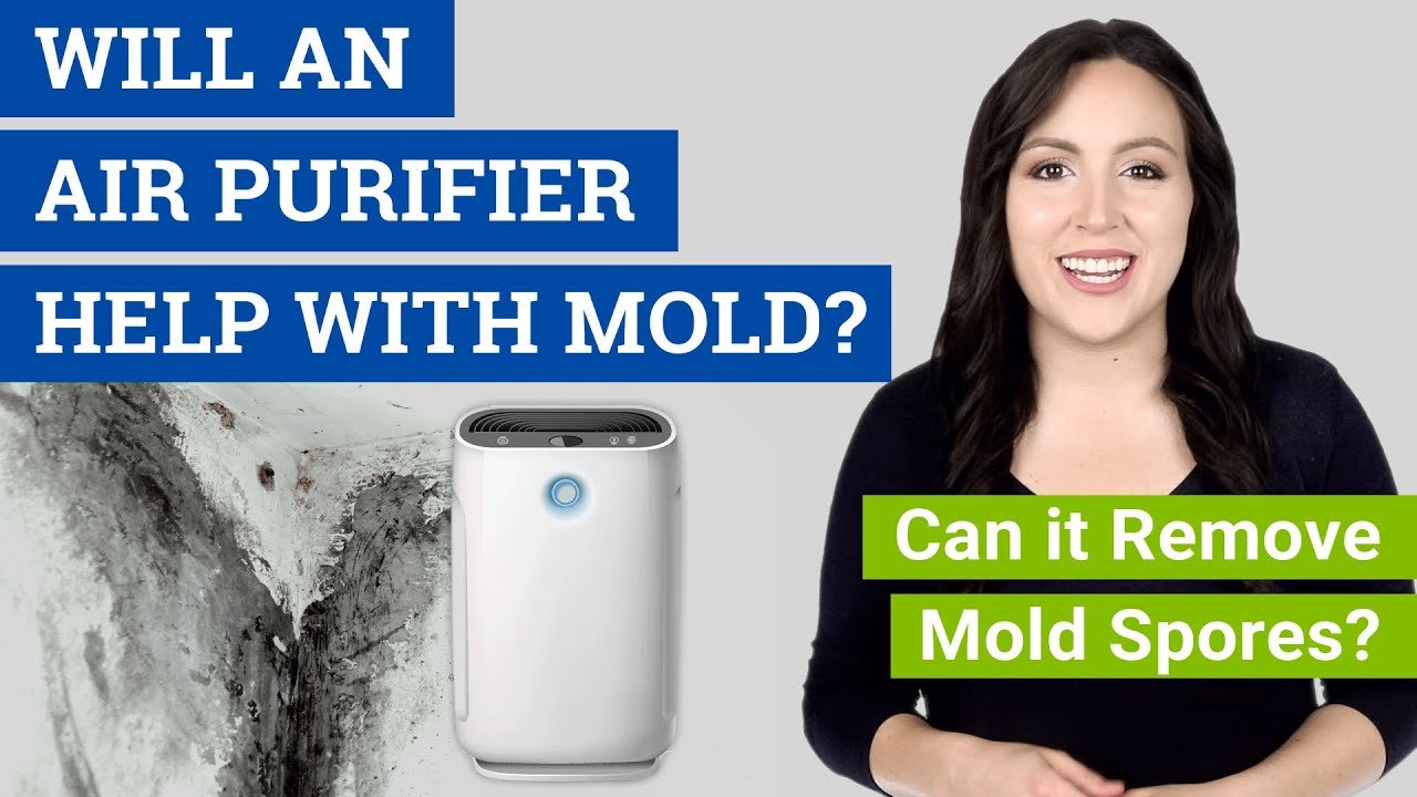 How Air Purifiers Reduce Mold Spores in Your Home?
