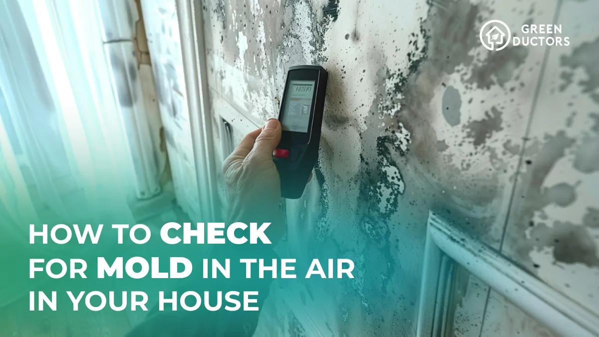 How to Detect Mold in Your Home’S Air?