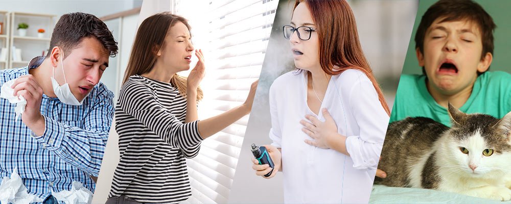 How to Prevent Indoor Allergens from Worsening Asthma?