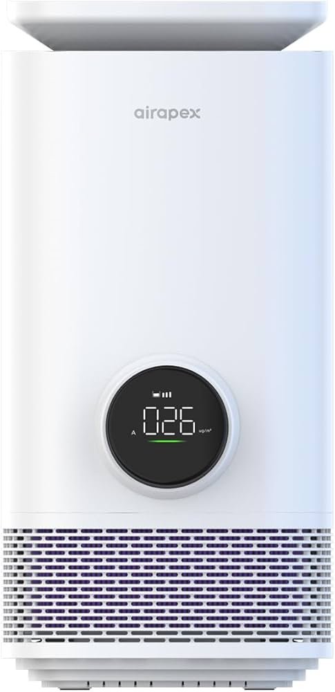 How to Properly Clean a Dual-Filter Air Purifier?