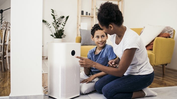 The Impact of Air Purifiers on Seasonal Allergies?