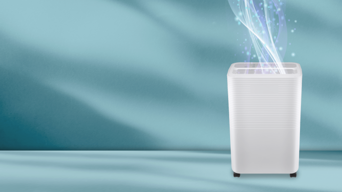 What are the Best Dehumidifiers for Improving Indoor Air Quality?