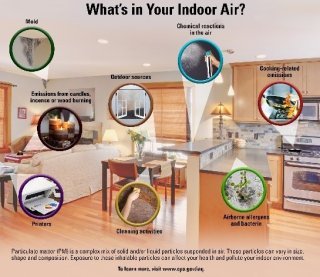 What are the Best Ways to Reduce Pet Hair in Indoor Air?
