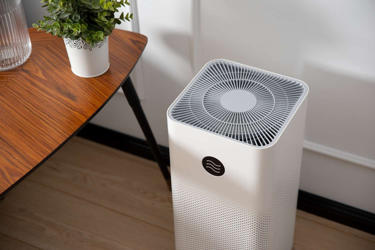 Why Does My Air Purifier Collect So Much Dust?