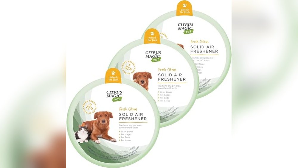 Best Air Purifier for Birds