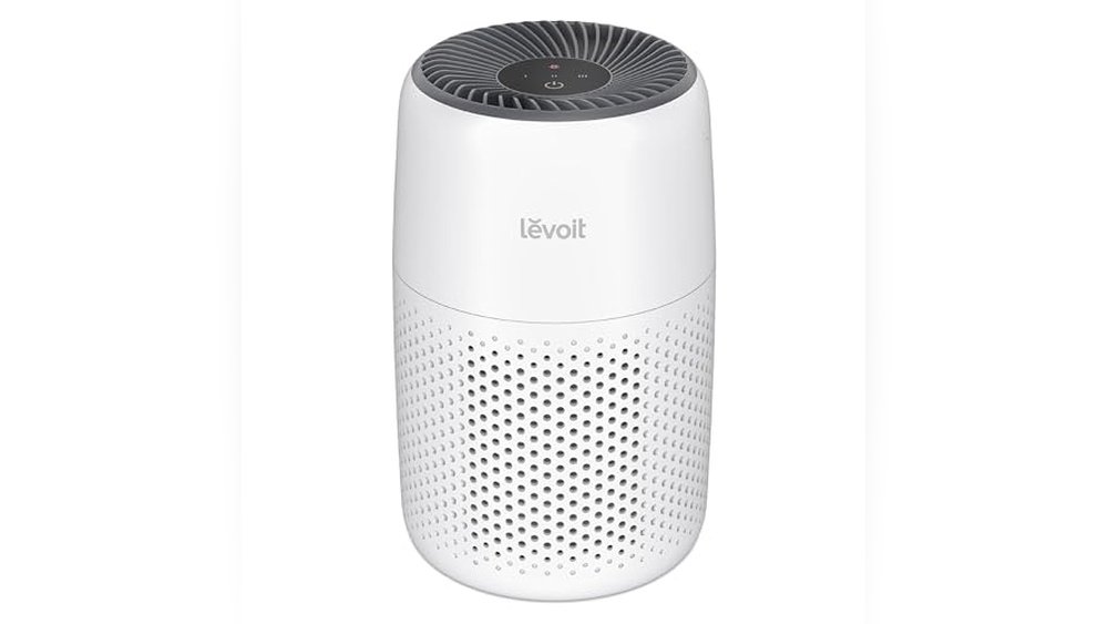 Best Air Purifier for College Dorm