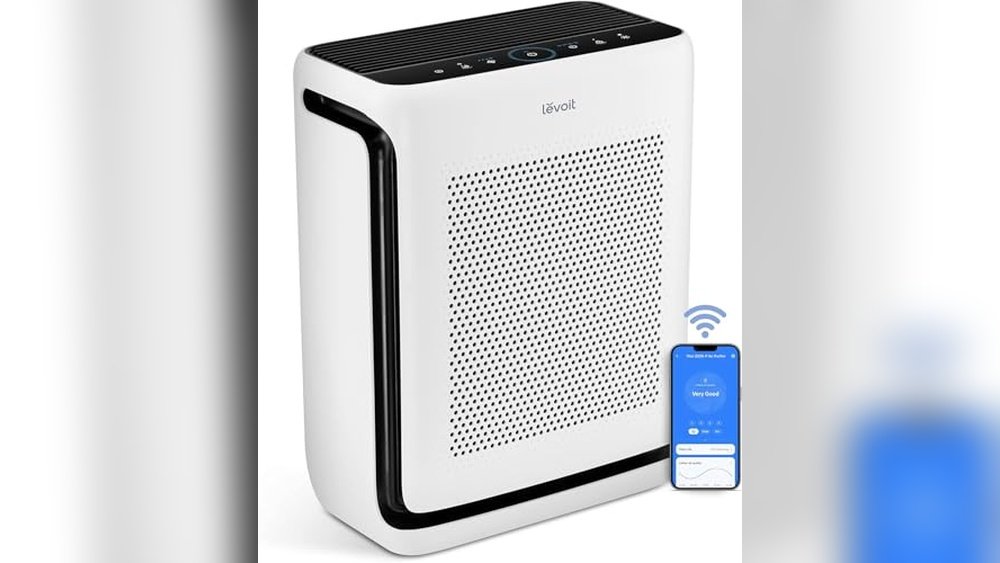 Best Air Purifier for Large Spaces