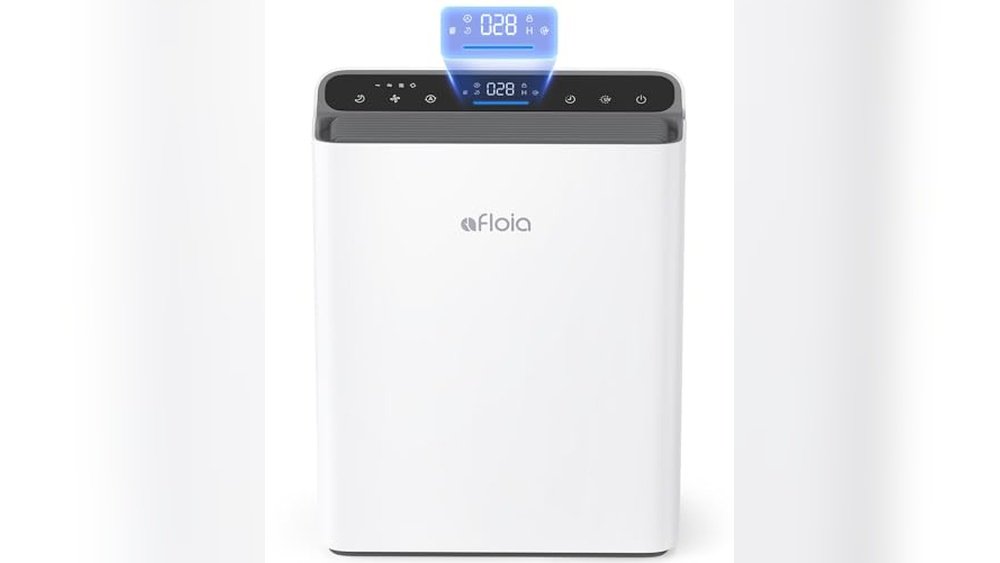 Best Air Purifier for Mold