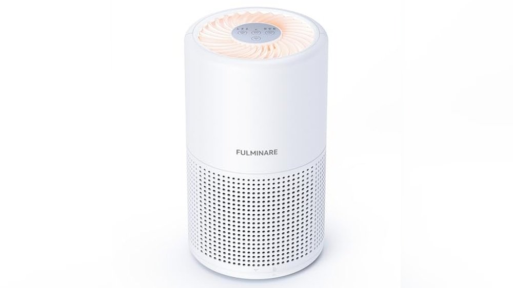 Best Air Purifier for Plants