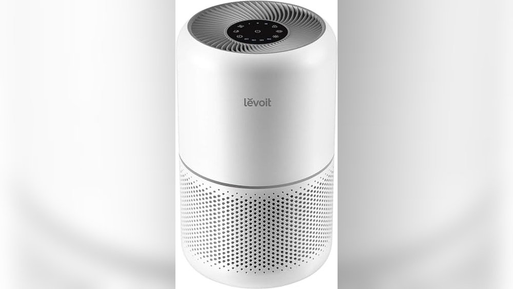 Best Air Purifier for Pollen