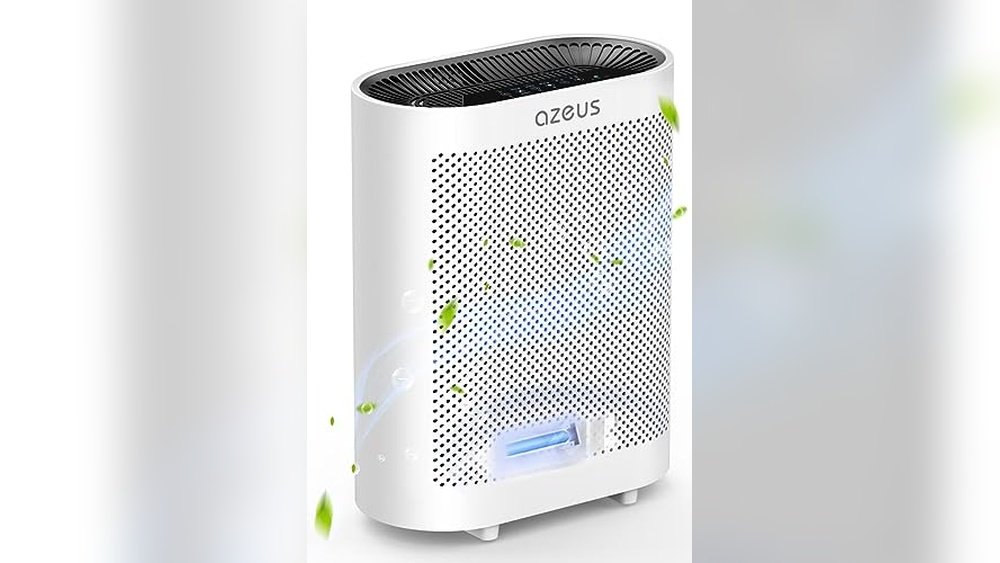 Best Air Purifier With Uv Light