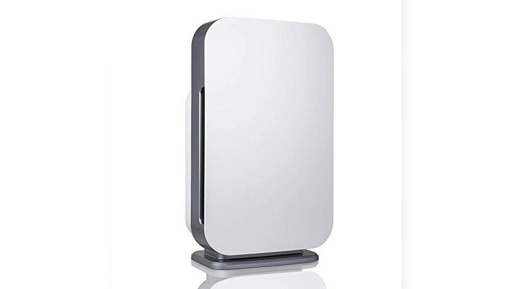 Best Dog Hair Air Purifier