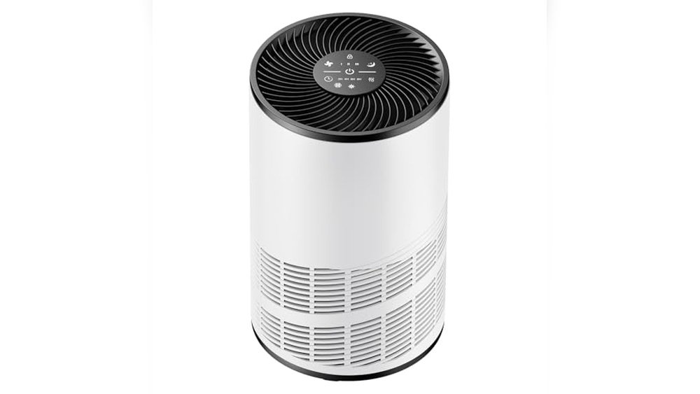 Best Inexpensive Air Purifier