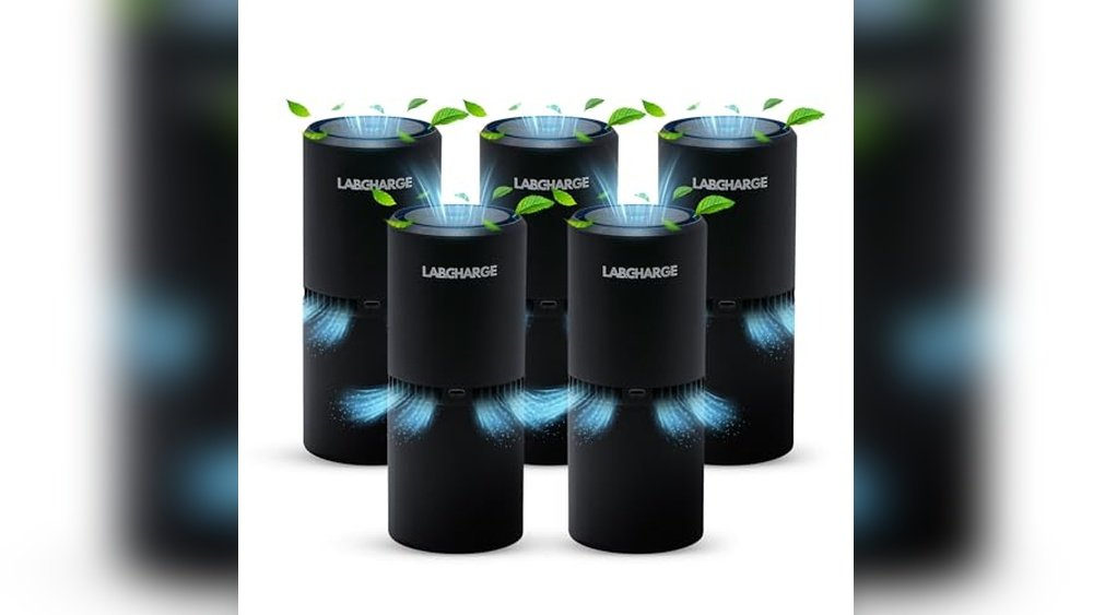 Best Ionic Air Purifier